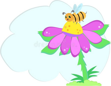 泡泡花蜂花信息泡泡照片