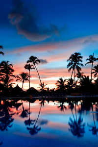 蓝色和红色的落日在海滩上用棕榈树