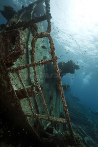 科尔莫兰号沉船于1984年在提兰沉没