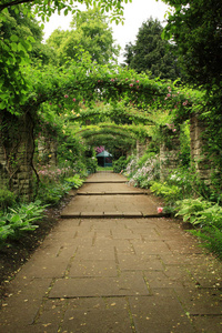 英国乡村花园图片