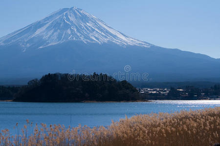 日本川崎湖富士酒店