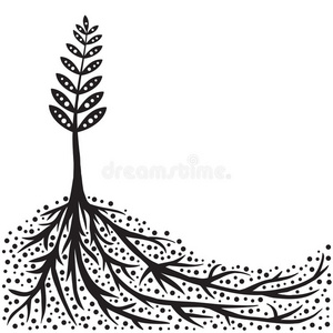 植物根系图片 植物根系素材 植物根系插画 摄图新视界
