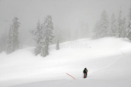 冬季雪景