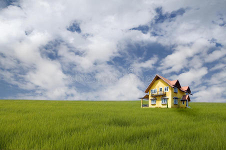 麦黄草草地上的黄房子照片