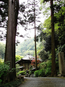 山岳庙图片