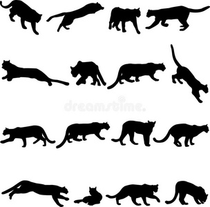 符号装饰图彪马您设计的的黑色彪马剪影猫野猫吉祥物野猫彪马或狮子