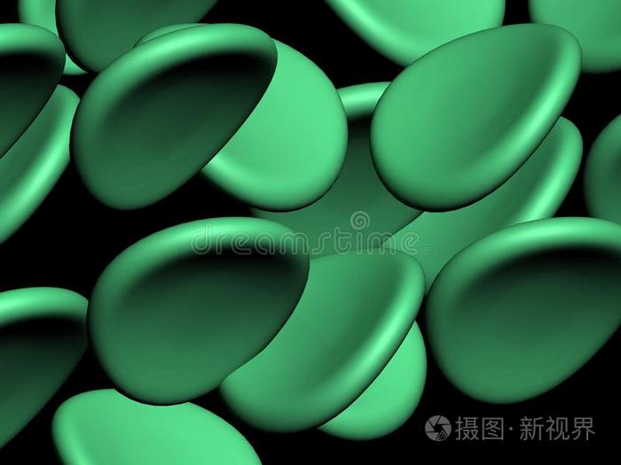 叶绿素细胞