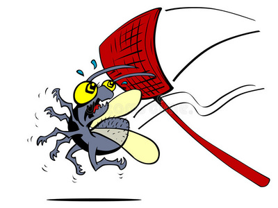 苍蝇的翅膀图片