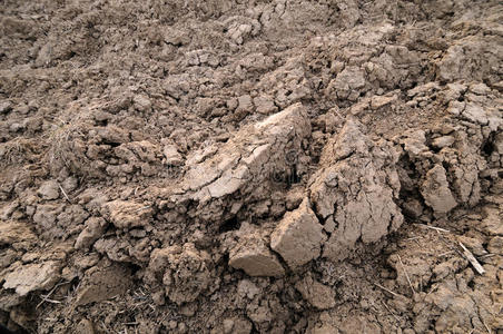 壤土摄影图