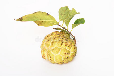 白奶油苹果.照片