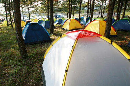 松林里的一组帐篷