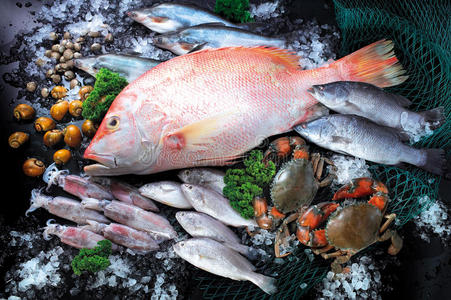 太平洋紫色海鲜鱼和海鲜照片