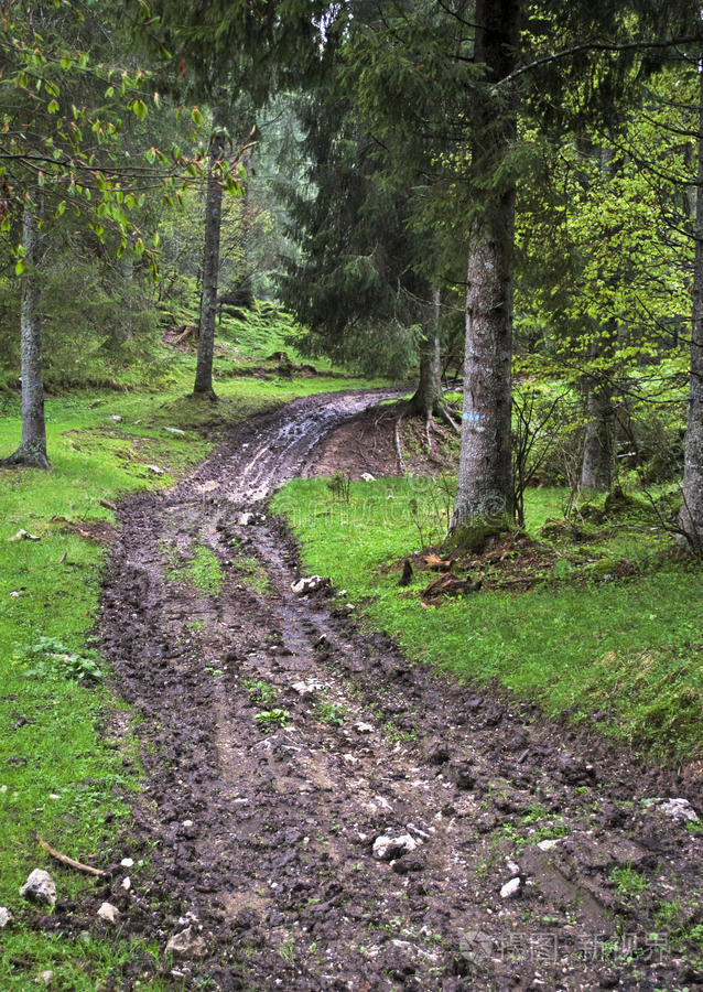 路冬天的小路旧谷仓树线道路雾林乡道到树林里去森林里美妙的秋天小巷