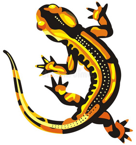 黄色的斑点黄色斑点蜥蜴照片