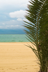 棕榈海滩