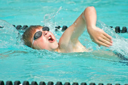 小男孩游泳小男孩游泳池自由泳照片