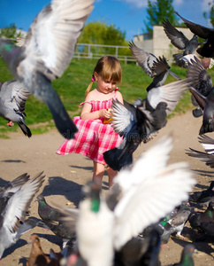 可爱的小女孩喂鸽子