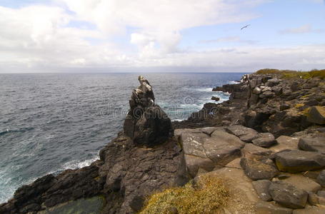 海洋 国家的 打破 地标 查尔斯 岛屿 海岸线 组织 风景