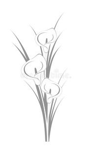 海芋图片 海芋素材 海芋插画 摄图新视界