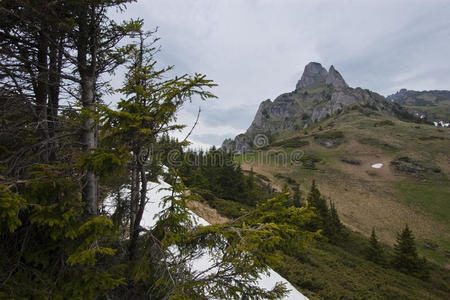 去山的路