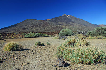 泰德火山