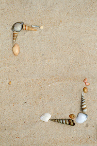 砂架上的壳
