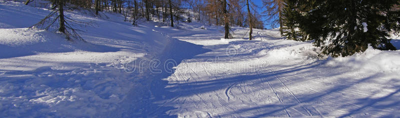 雪林径全景图