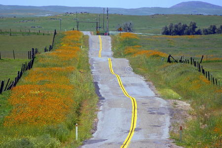 崎岖漫长而崎岖的道路照片