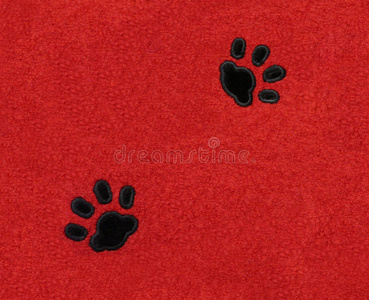 织物上的猫爪印照片