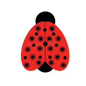 红蝇鹤蝇是家族 tipulidae 的苍蝇.