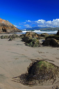 旧金山海豹岩与太平洋海滩图片