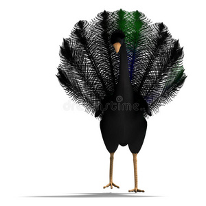 有美丽羽毛的黑色梦幻鸟。三维