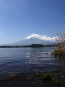 川口湖富士