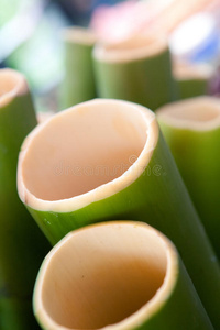 竹子截面鲜青竹横截面照片