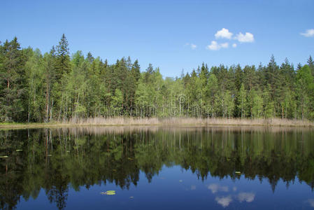 芬兰宁静的湖景