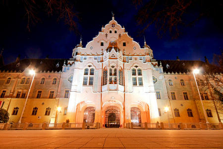 维萨市政厅图片