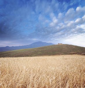 麦田层山云景