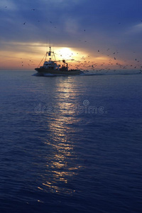 专业渔船海鸥日落日出