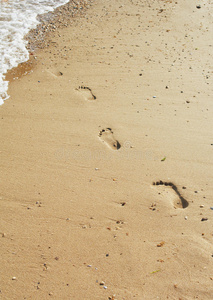 海岸线踪迹图片