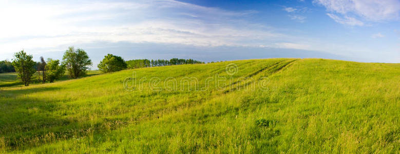 夏季景观