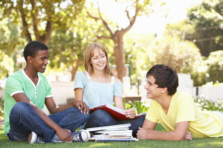 一群青少年学生在公园里聊天