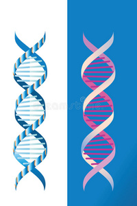 dna