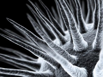 纳米显微镜纳米病毒照片