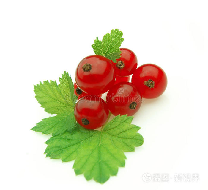 桌上的红醋栗