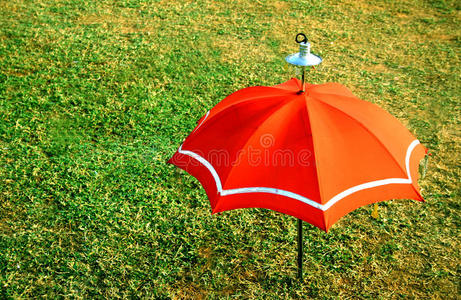 装饰橙色雨伞图片