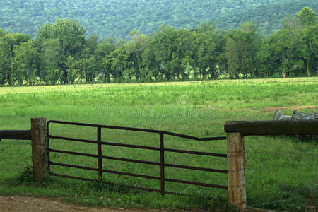 牧场围栏
