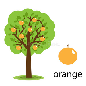 橘子树西班牙巴伦西亚的一棵开花的橘子树和一座山成熟