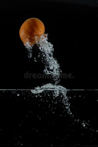 橘子从水里跳出来