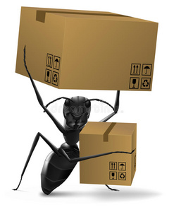 蚂蚁纸箱运输