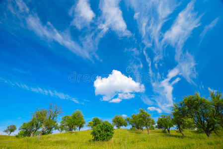 夏季景观